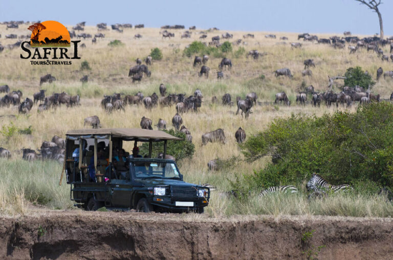 Explore Our Premier Destinations - Arusha